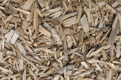 biomass boilers Becconsall